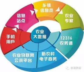 未來三年，中國農業(yè)即將步入大數據時代